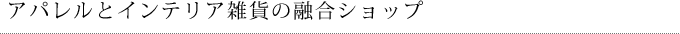 アパレルとインテリア雑貨の融合ショップ