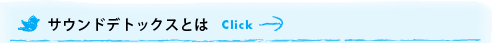 サウンドデトックスとは