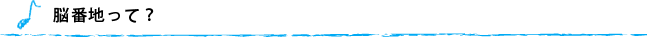 脳番地って？