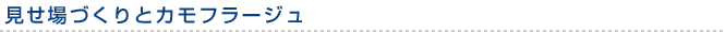 見せ場づくりとカモフラージュ