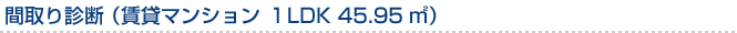 間取り診断（賃貸マンション　1LDK　45.95m?）