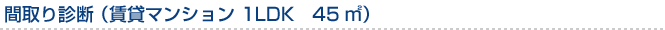 間取り診断（賃貸マンション　1LDK　45m?）