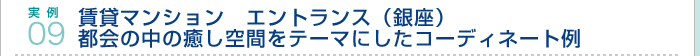 実例09.賃貸マンション　エントランス（銀座）都会の中の癒し空間をテーマにしたコーディネート例