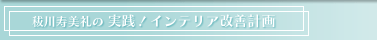 秡川寿美礼の実践！インテリア改善計画