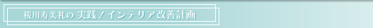 秡川寿美礼の実践！インテリア改善計画
