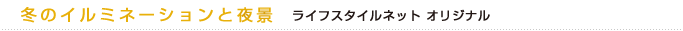 冬のイルミネーションと夜景